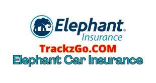 Elephant Car Insurance