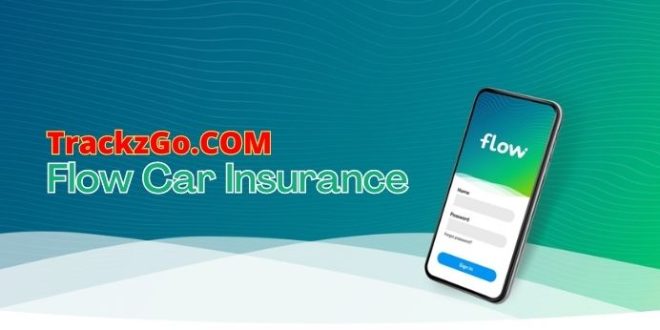 Flow Car Insurance